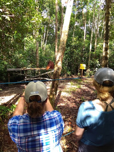 Photos of CV. Omie Tour Organizer / Orangutan Tour