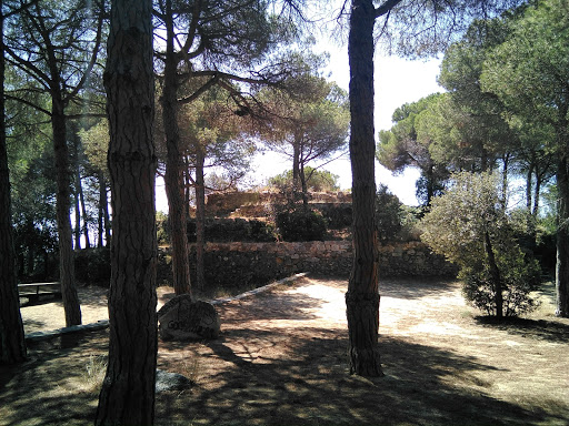 Cadira Del Bisbe - Thumbnail