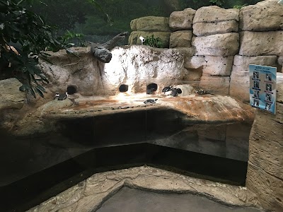 Photos of Aquarium