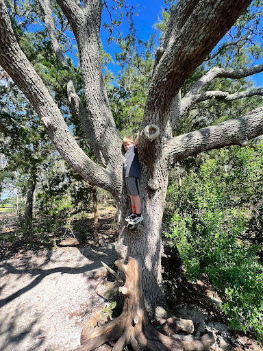 Vereen Memorial Park - Thumbnail