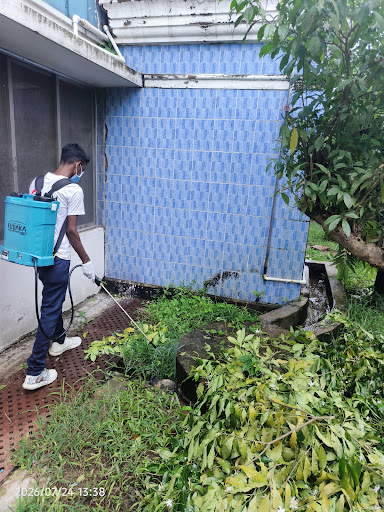 Pest control near bay Asansole post image