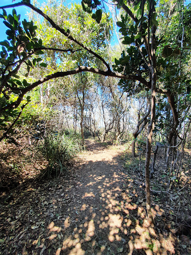 Headland Walking Track