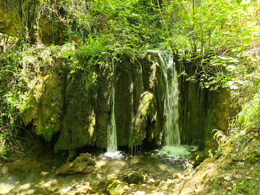 Nacelrio