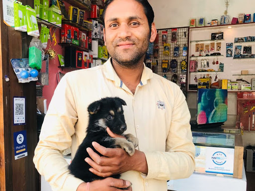 Happy customer 😍 @indorepuppyzone post image