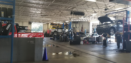 Borgman Ford - Visual