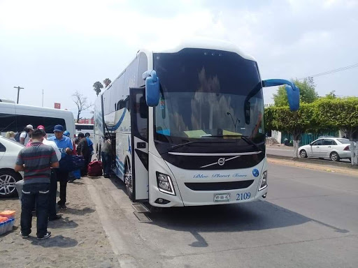 Estrellabus - Visual