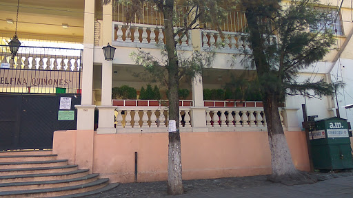 Escuela Primaria Delfina Quiñones Logo