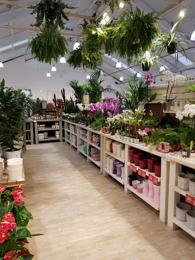 Coton Orchard Garden Centre Gallery - United Kingdom
