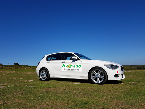 Avocado Driver Training - Visual