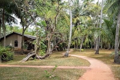 Photos of Ging Oya Lodge