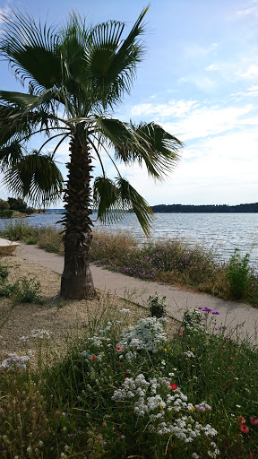 Port communal de Saint Chamas - Thumbnail