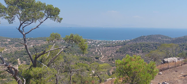 Αρχαιολογικό Μουσείο Αφαίας