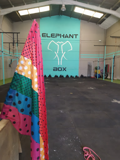 Elephant Box - Thumbnail