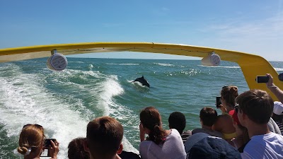 Photos of Sea Screamers of Clearwater