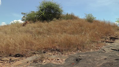 Photos of Manikkamadu Buddhist Temple