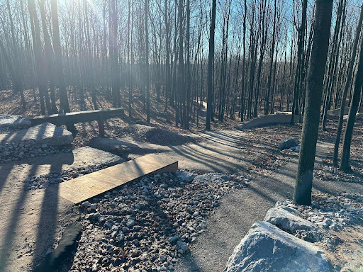 Boyne Forest Trail - Thumbnail