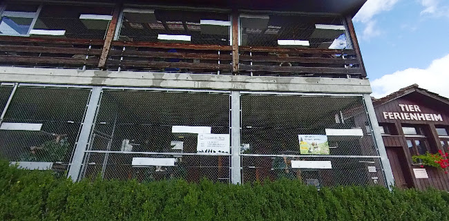 Tierferienheim Fahrhubel GmbH - Tierarzt