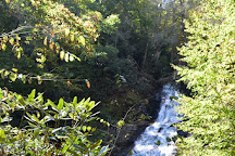 Helton Creek Falls, Blairsville, United States