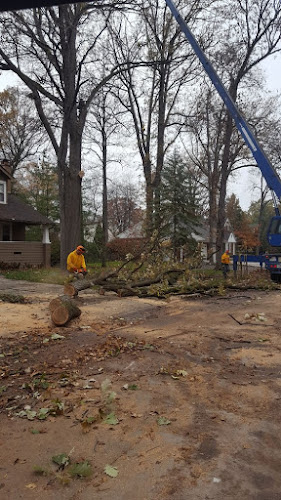 CA Tree Removal of Newmarket work photo 1