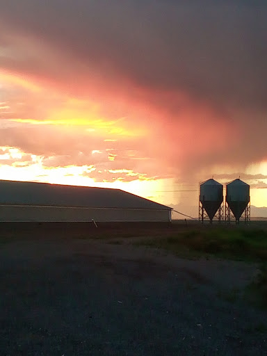 Smithfield Hog Production -Rocky Mountain Region - Thumbnail