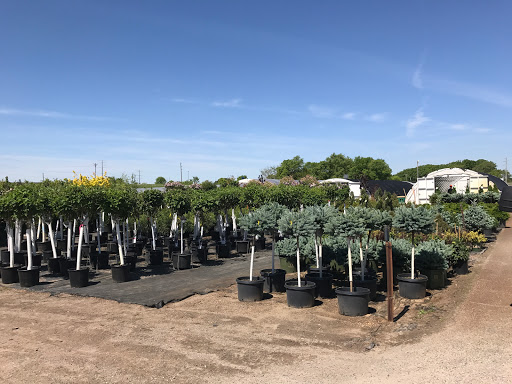 Central Landscape Supply Inc - Thumbnail