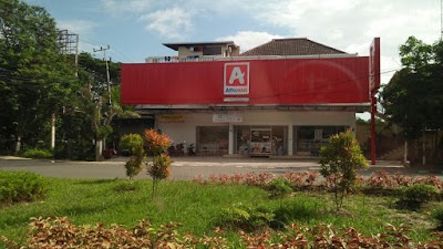 Photos of ALFAMIDI