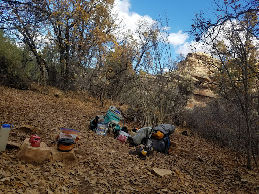 LC1 Campground - Visual