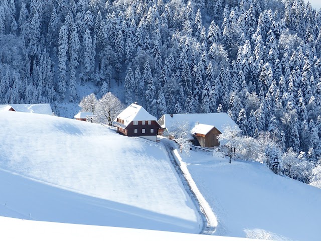 Holzschlägerhof