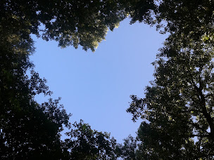 Photo n°71 de Camping de l'île à Ranchot (Restaurant)