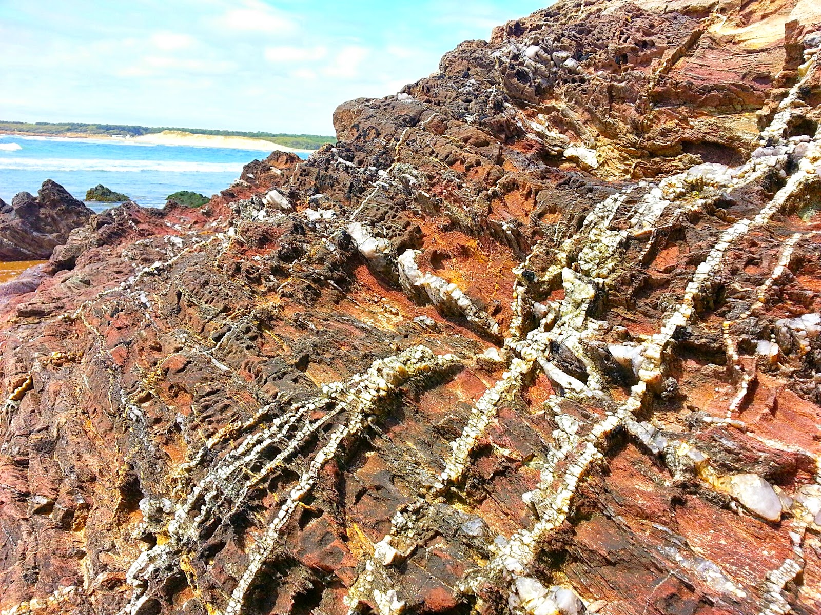 Visit Le Sentier De La Pointe Du Payre On Your Trip To Jard