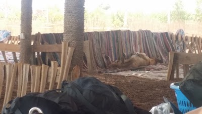 Photos of Bab El Sahara