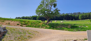 Photo n°12 de GAEC du pré du clos à Lépanges-sur-Vologne (Éleveur)