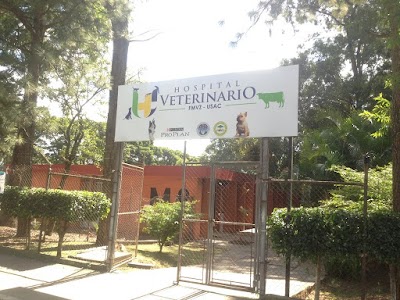 Photos of USAC Veterinary Hospital