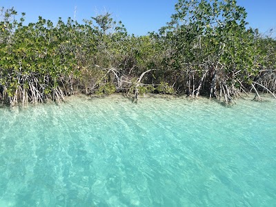 Photos of Xtomoc Laguna De Bacalar