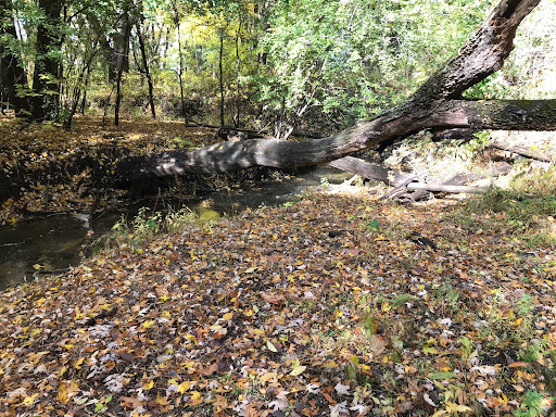 Pleasure Creek Park Gallery - United States