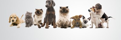 Photos of Blanchard Woods Animal Hospital