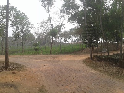 Photos of Halda Valley Tea Company Ltd