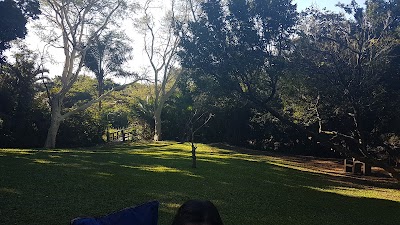 Photos of Amanzimtoti Bird Sanctuary