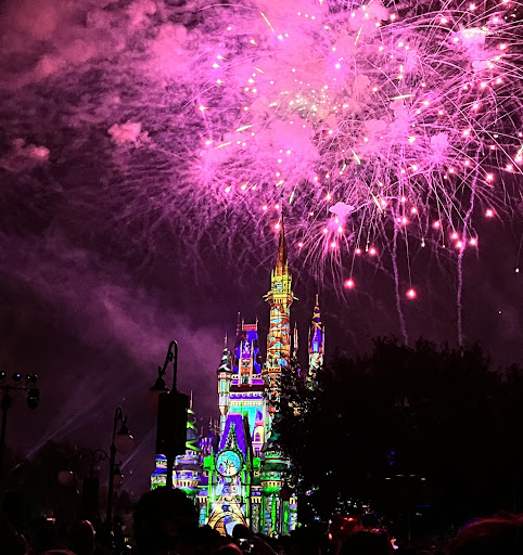Magical Experiences - Thumbnail
