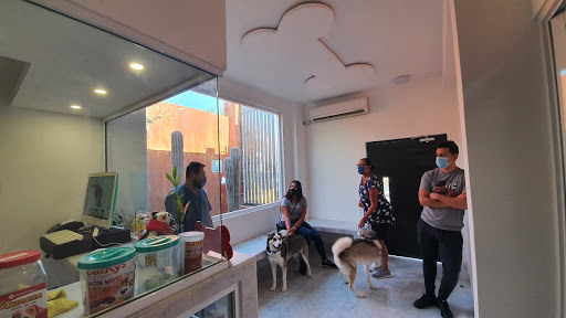 Clinica Veterinaria Ortiz