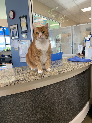 Meows And Growls Pet Resort At White Rose - Thumbnail