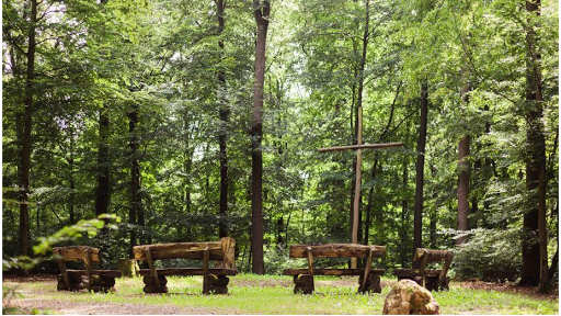 FriedWald Herborn - Visual