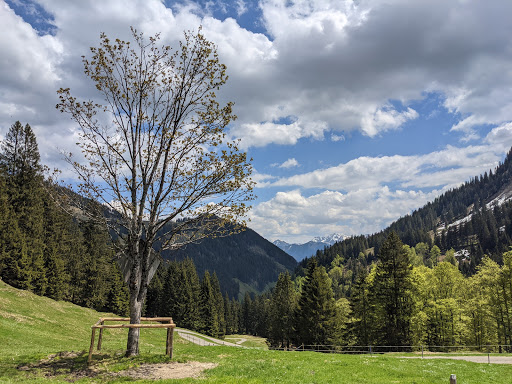 Bolgenalpe - Thumbnail