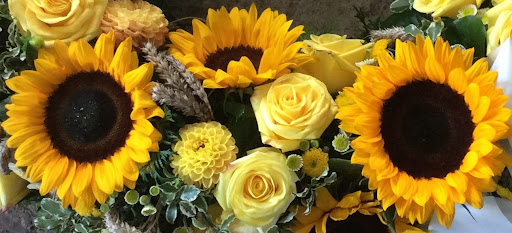Blumen Geiger