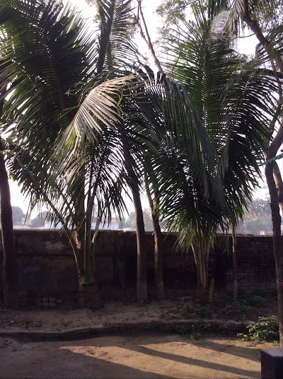 Photos of Kanaikhali Mini Stadium