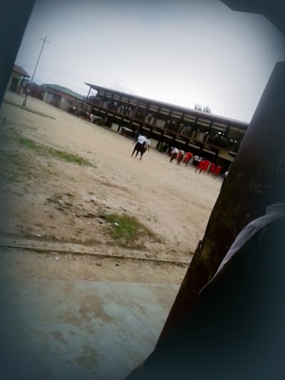 school