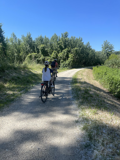 Pro Classic Cycle - Visual