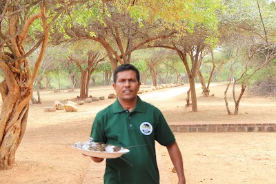 Photos of Governor's Camp Yala
