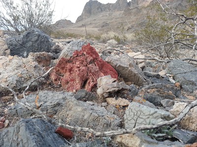 Photos of Ash Meadows National Wildlife Refuge