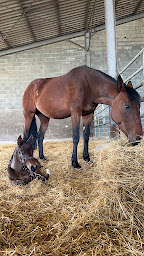 Photo n°4 de Ei Waille Delphine à Saint-Priest-d'Andelot (Club de sport)